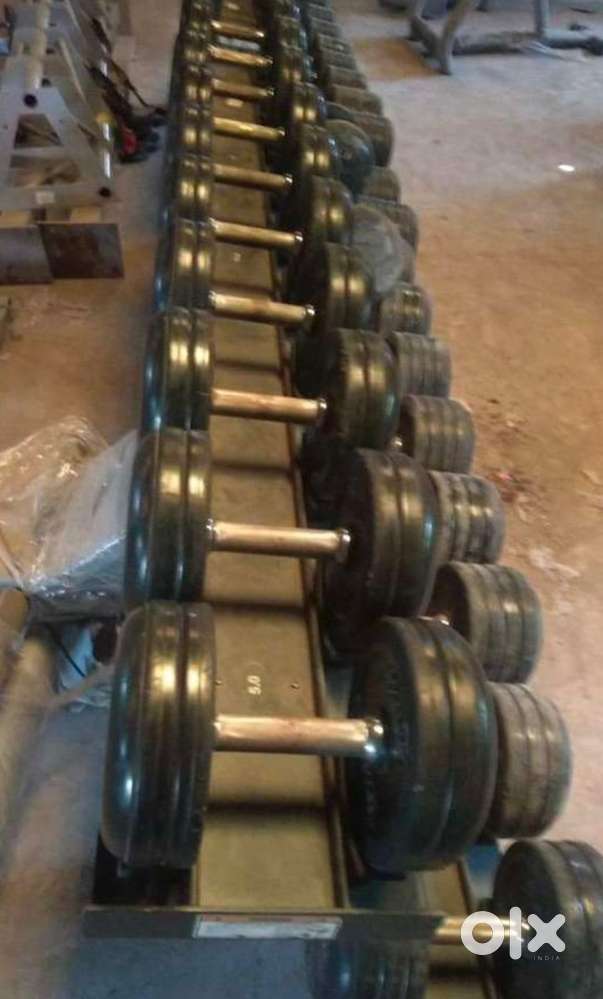 Imported Rebar Brand Dumbbells Set