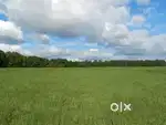 1 एकड़ जमीन खरखोदा के पास