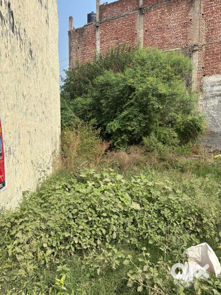 Plot For Sale