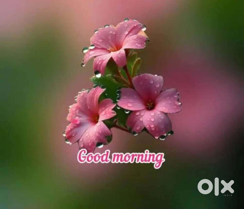 నెటకేఫ్ లో వర్క్ చేయుటకు అనుభవం ఉన్నవారు కావలెను