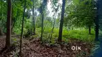 2 acres. INFOPARK,  KORATTY. NH 3km. Non flooded