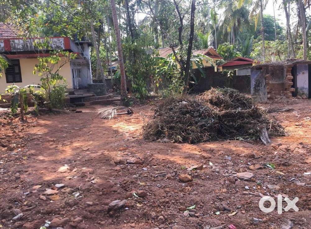 Square plot near Thalassery town with well, greenery and highwayaccess