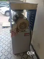 Pindi girini