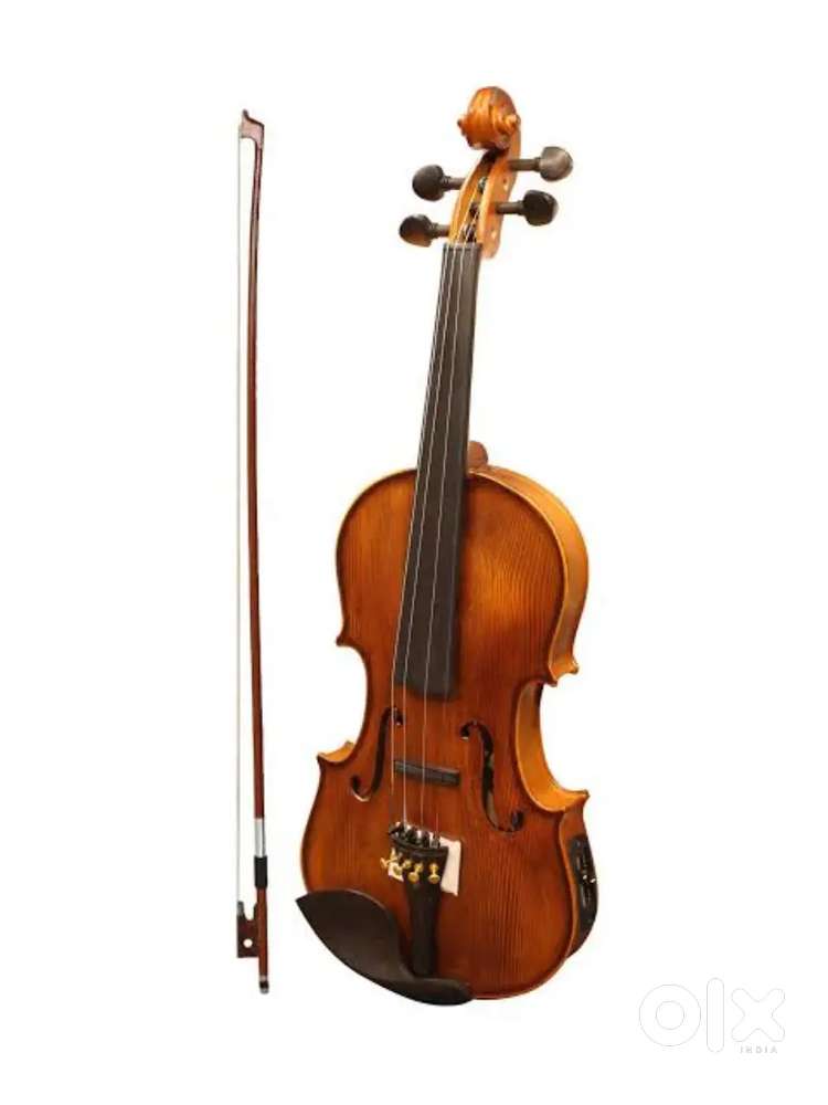 Violin (good conditioned)