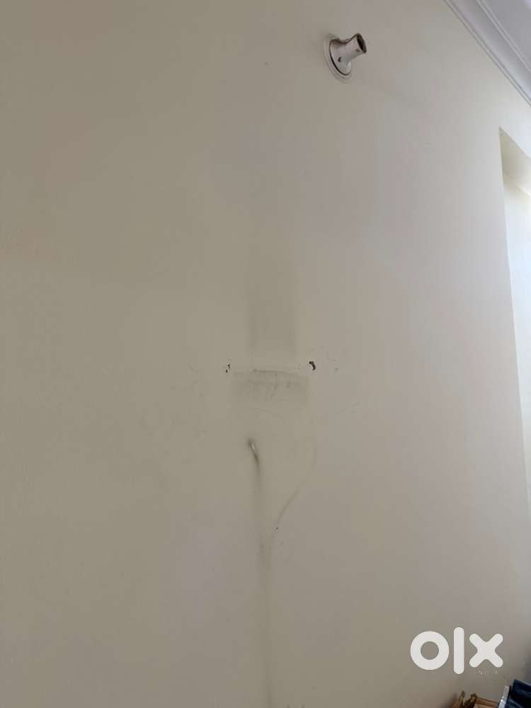Female Flatmate - Seperate Room for Rent