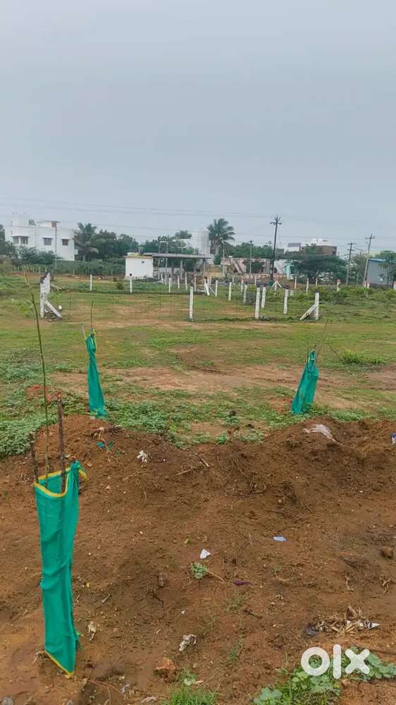 VM CHATIRAM TIRUNELVELI THIRUCHENDUR MAIN ROAD