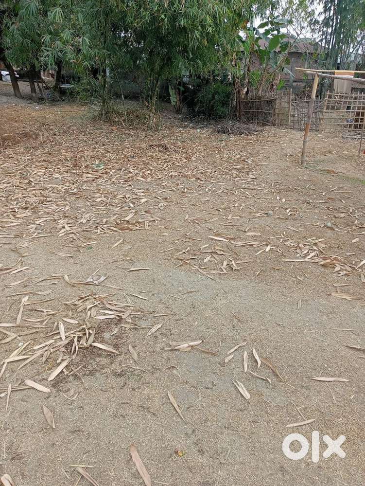 Tribal land 2 Bigha sale in Khoribari, Dudha