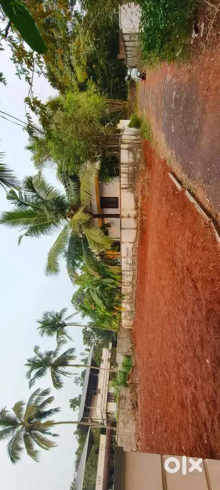 Plot For Sale at kottekkad