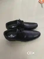 Lee lycra shoes