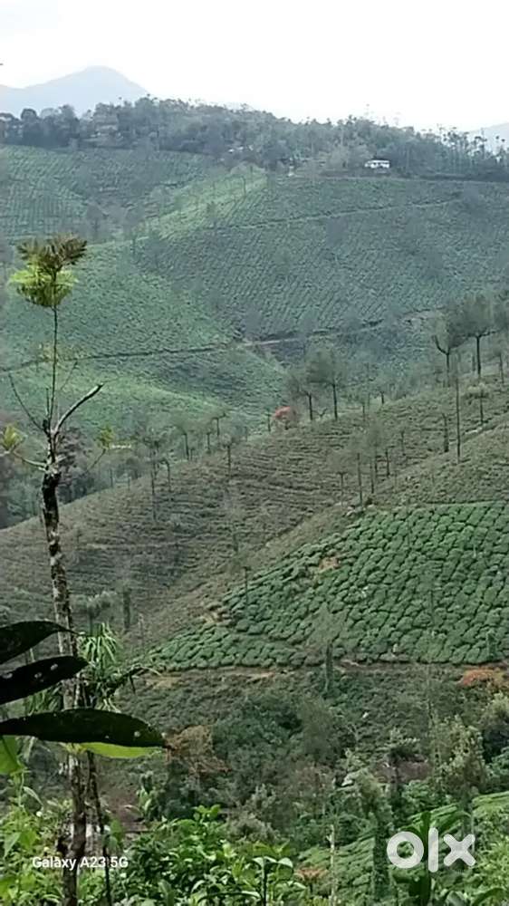Fully view land near vagamon for sale