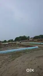 Shamas green city