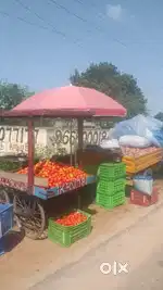 Required auto driver cum helper