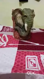 Myticom pan