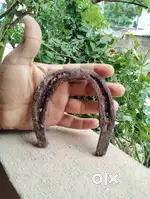 Gurrapu nada for sale.