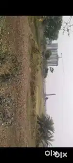 Plot 2000 square feet