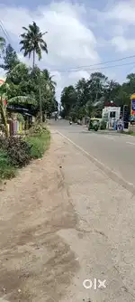 ലാൻഡ് ഫോർ പ്ലോട്ട്