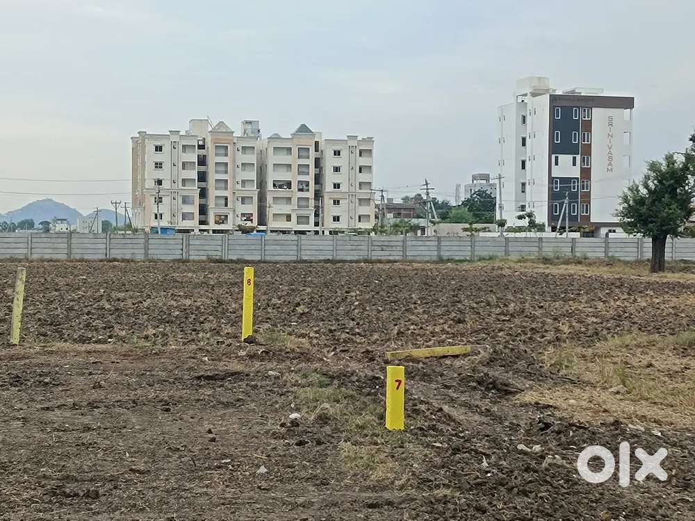 A) చలపతి కాలేజీ ఆపోజిట్ రోడ్లో 150 గజాల ప్లాట్