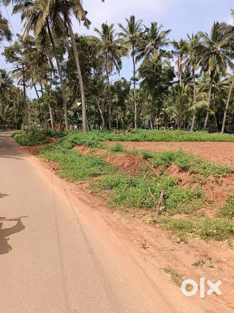 7 Cent Housing Plot for Sale in Pallavilai Near Kamaraj Polytechnic