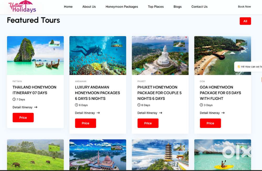 Website development