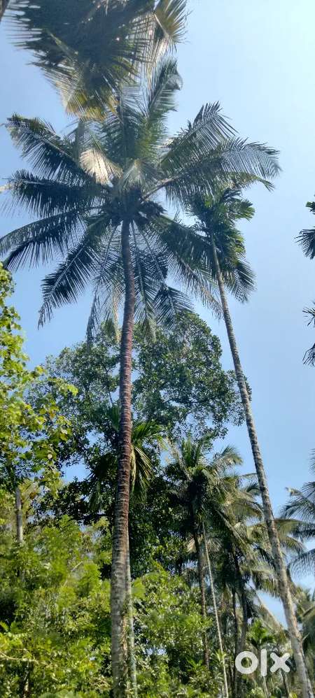 45 CENTS Road Attached  property with House