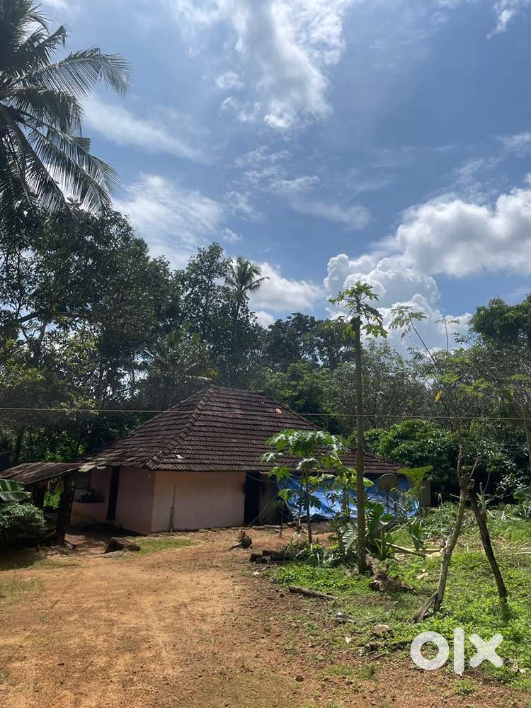 1 ഏക്കർ 22 സെന്റ് സ്‌ഥലം വില്പനക്