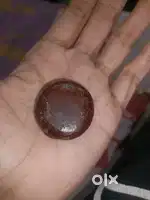 Lucky sea bean