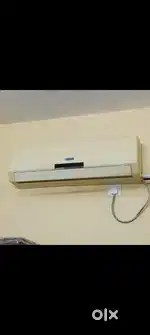 Bule star Ac