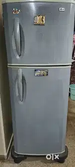 Double Door LG fridge