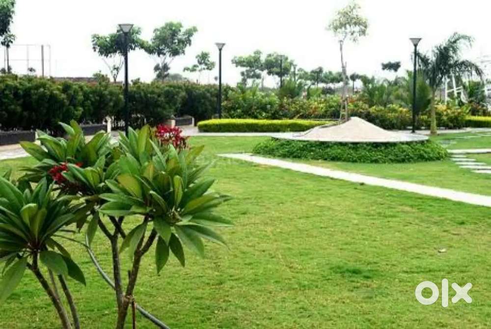 INVESTMENT PLAN IN VIDHANSABHA RAIPUR,,, लाखों का मुनाफा कमाने का मौका