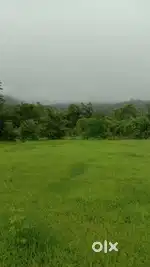 Agriculture Land Sale in Mangaon Raigad Nijampur Road