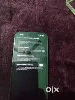 13 pro max