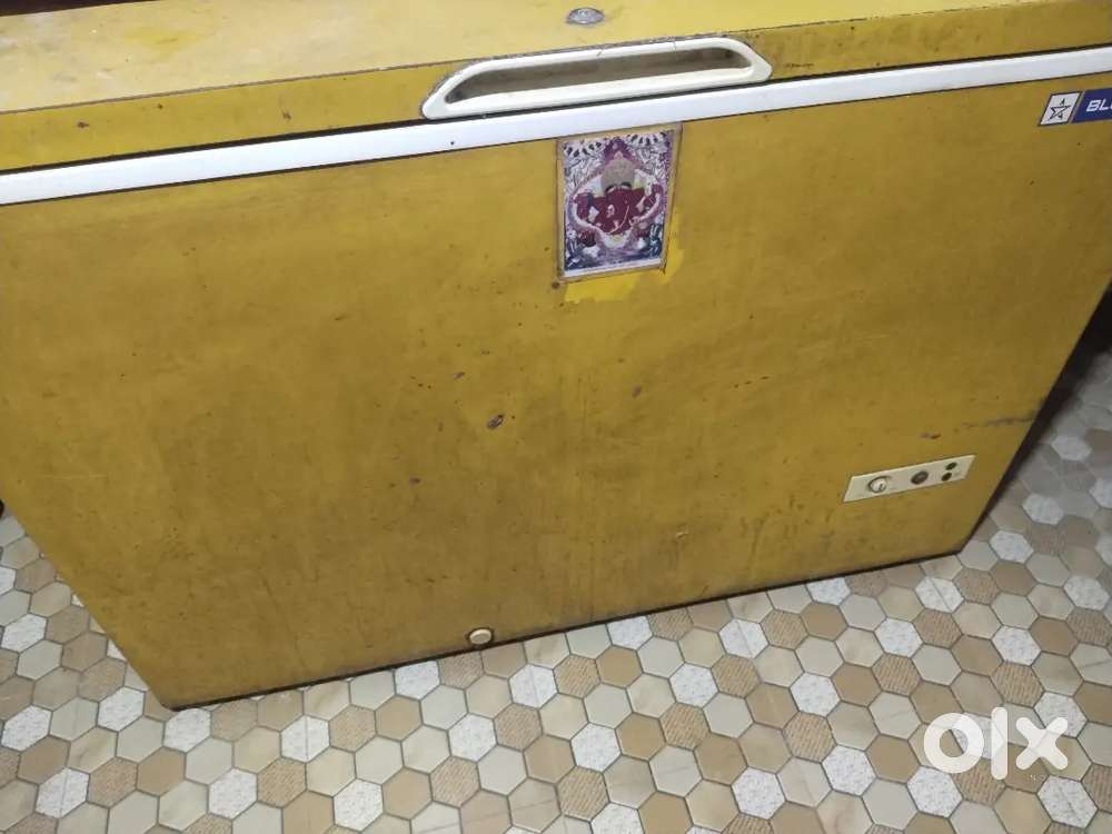 Big refrigerator for shop