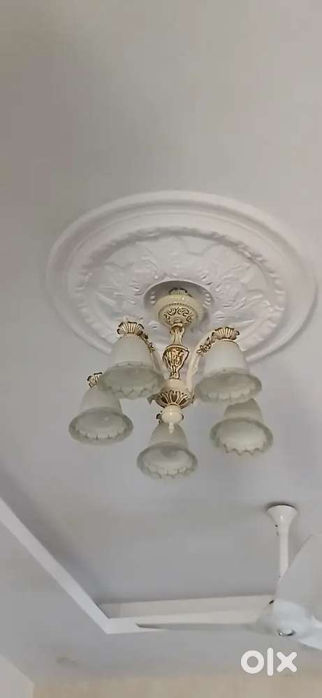 Ceiling hanging Light