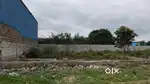 Maira Farms