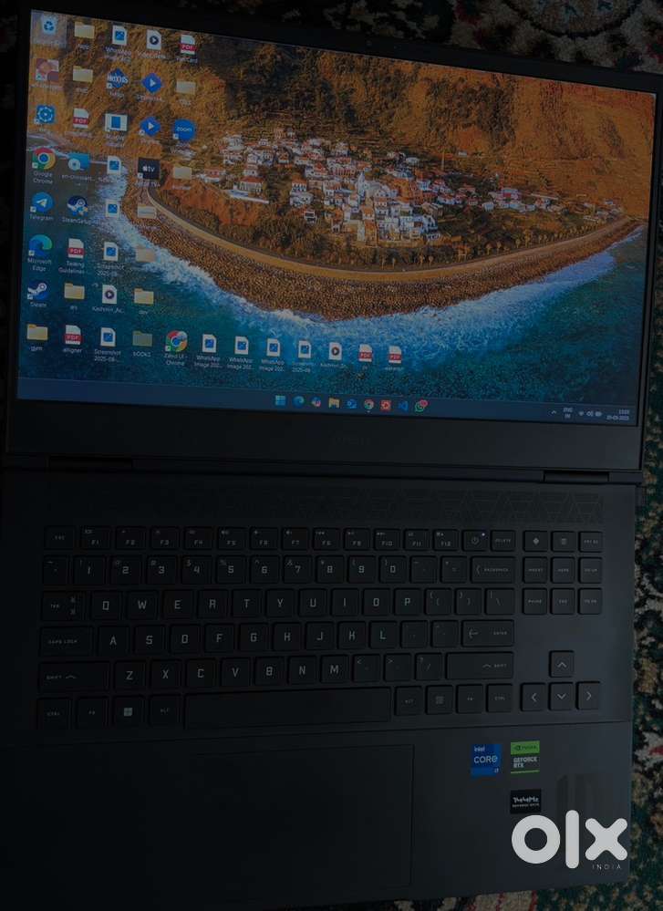 Hp Omen i7 14 Gen 14650HX(In warranty,bought 17 April 2025)