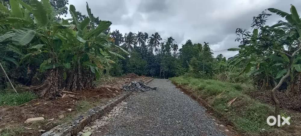 അങ്കമാലി റയിൽവേ സ്റ്റേഷനിൽ നിന്നും 1 km ദൂരത്തിൽ 5 സെൻ്റ് മുതൽ