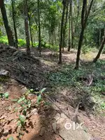 Plot for sale