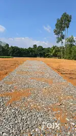 പാലാ ചേർപ്പുങ്കൽ മെഡിസിറ്റിക്ക് സമീപം ഹൗസ് പ്ലോട്ടുകൾ വിൽപ്പനയ്ക്ക്
