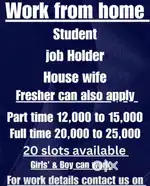 Work from home without any investment ..