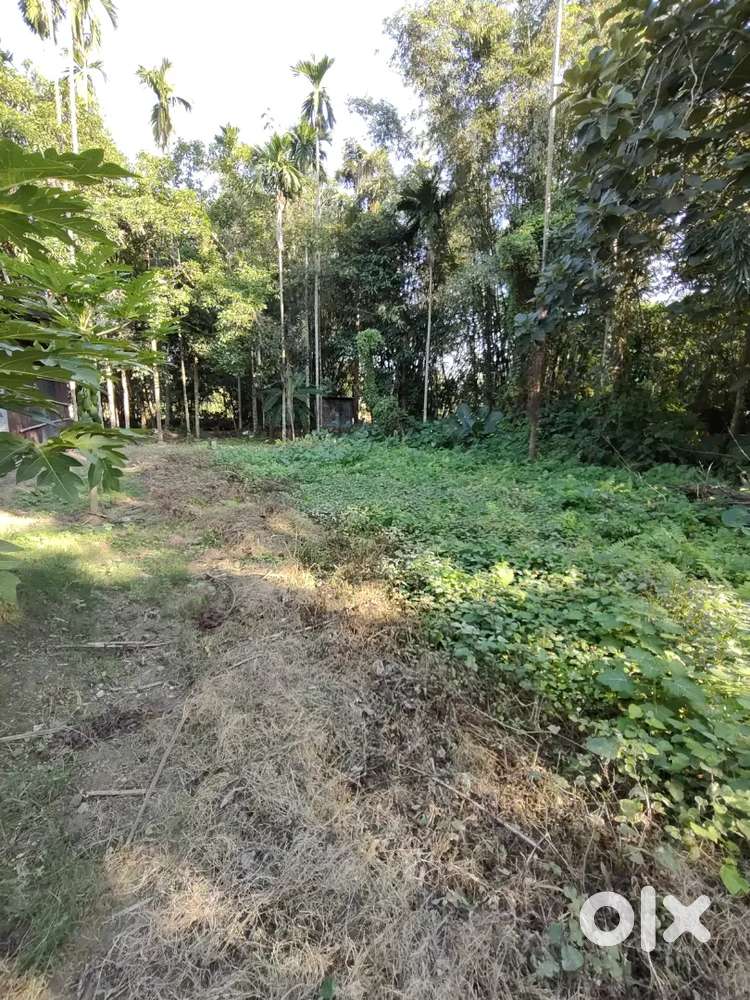 Road side 3 katha land sale/ 30 lakh per katha