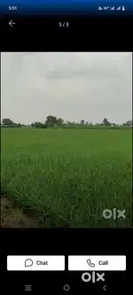 16 bigha pakka mitha pani