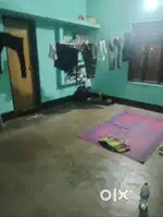 Need a room mate