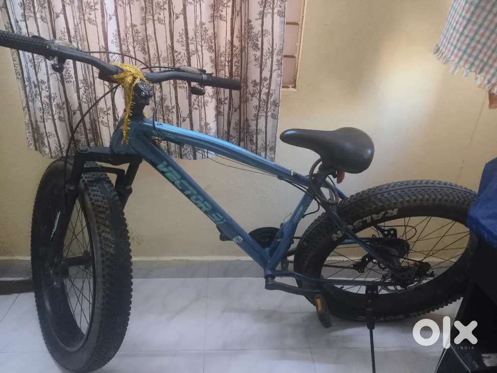 Vector 91 fat bike