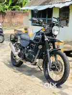 Himalayan bs3