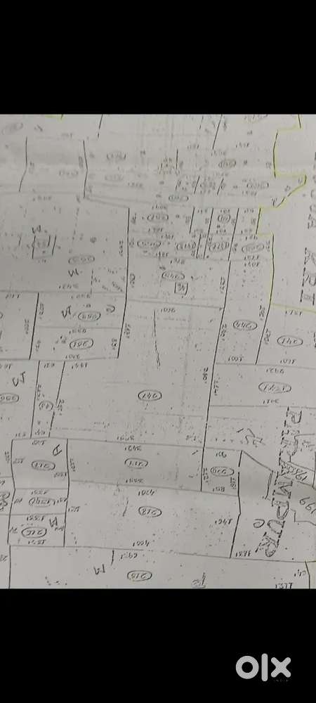 350Bigha Land Available for sale On Diamond Harbour Road ( NH-117)