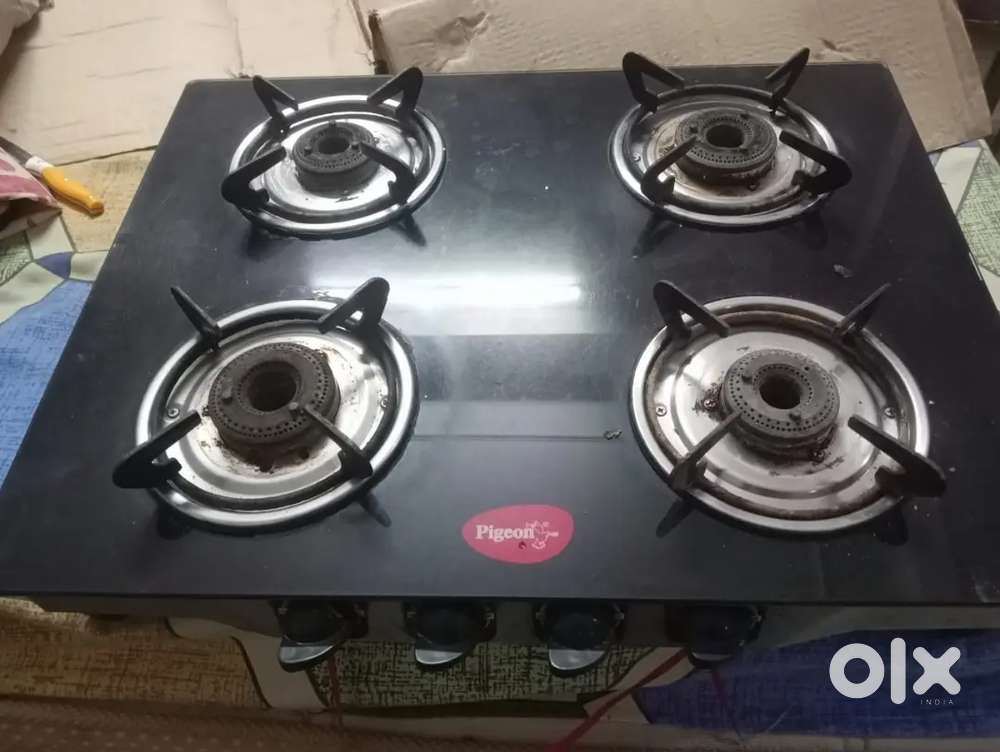 Pigeon gas stove