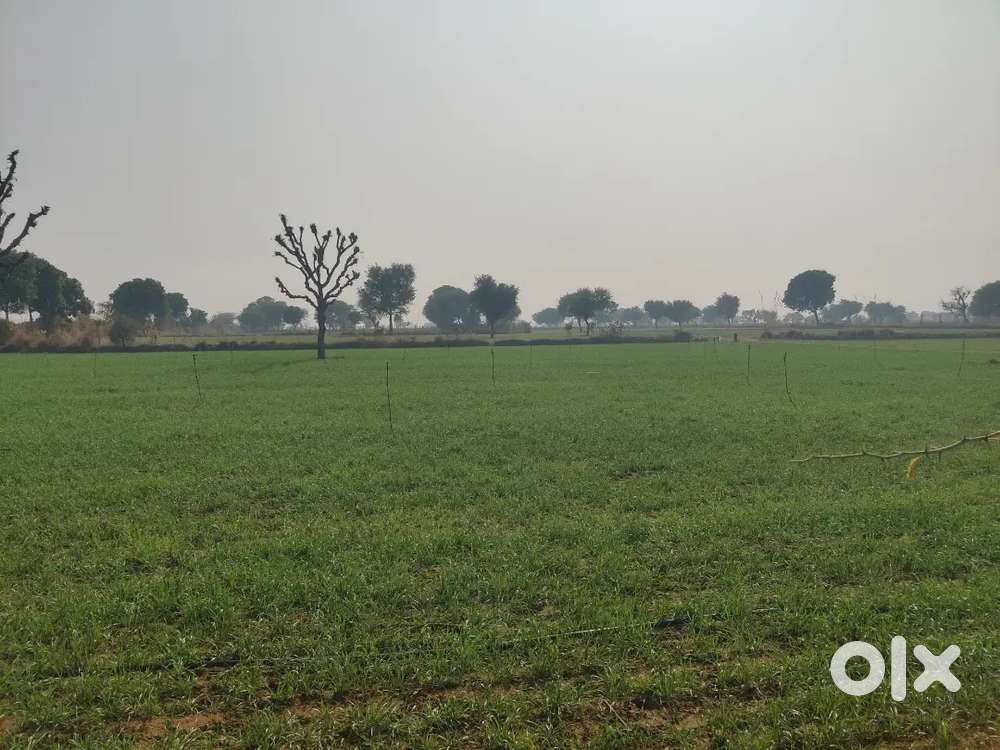 Agriculture Lands And Plots