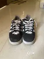 Adidas campus shoe