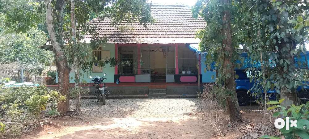Koothattukulam town 1.3 km 50 cent old house open wel loan availb