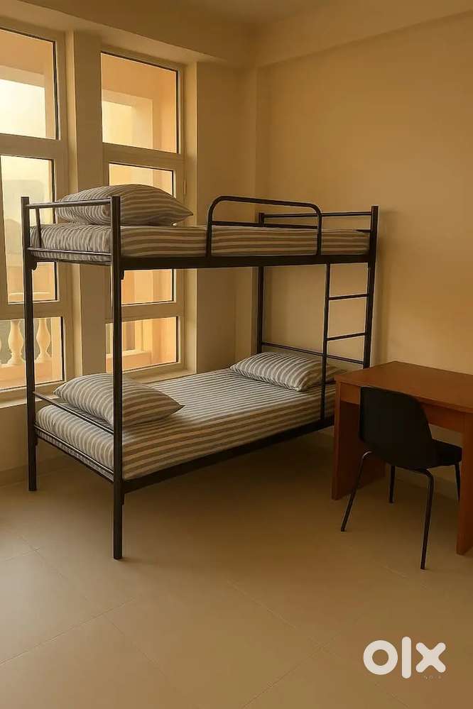 Pg galgotia university NIU